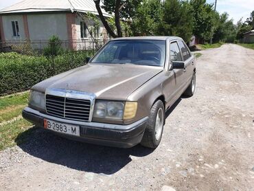 смок нова 2: Mercedes-Benz 250: 1987 г., 2.5 л, Механика, Дизель, Седан