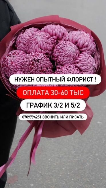 учитель рисования: Вакансия: требуется опытный флорист. - Оплата: 30–60 тыс. - График