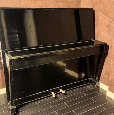 Пианино: Пианино, Акустический