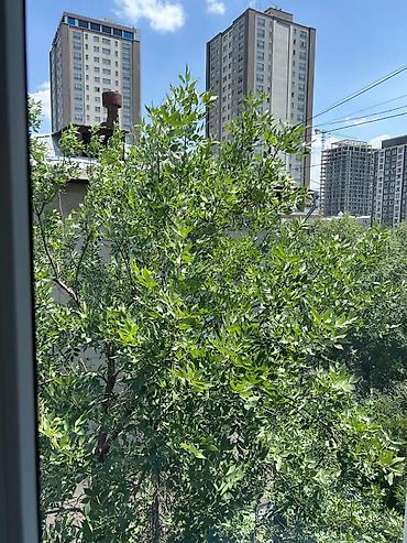 квартира вагзал: 2 комнаты, 40 м², Бишкек Парк ТРЦ 5 этаж — 4