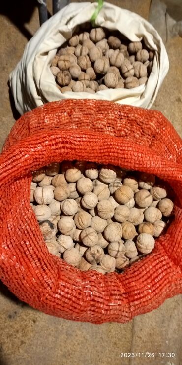 продать орехи в бишкеке: Продаю Грецкий орех домашнийурожай 2023 года осталось