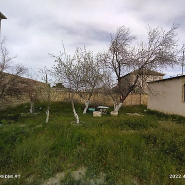 sibrizde evler: Bakı, Suraxanı, 90 kv. m, 3 otaqlı, Hovuzsuz, Qaz — 9