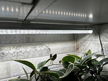 Хойи: Фитолампа 600сом 15 ватт длина 0,9м. Фитильный горшок новые обьем 0,5 — 11