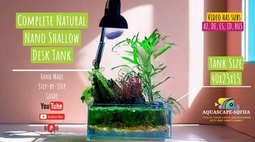 Akvariumlar: Dördbucaqlı Akvarium, Boş, 15 l, Ünvandan götürmə, Ödənişli çatdırılma