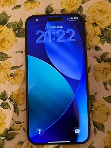 iphone d: IPhone 16 Pro Max - Цвет: светлый (Natural Titanium/близкий к — 1