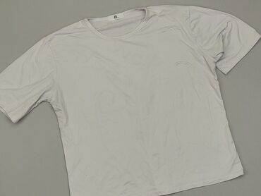 T-shirty: T-shirt, 2XL, stan - Dobry