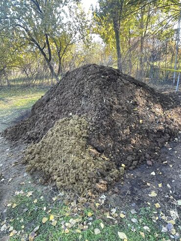 Другие товары для дома: Жылкынын богу навоз жерге токонго бекер берем 1 машина дан кобурок