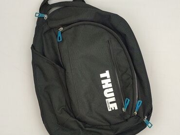 Сумки та рюкзаки: Рюкзак, Thule, стан - Дуже гарний