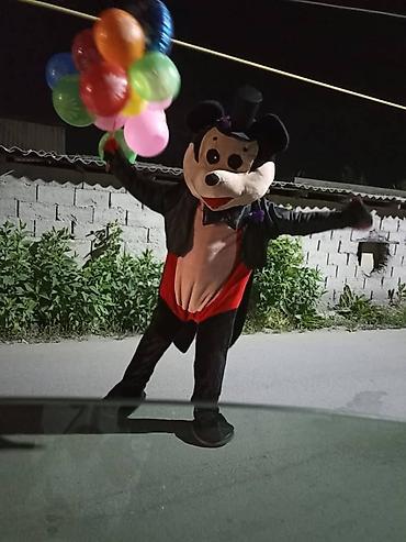 Организация мероприятий: Анимационное шоу-программа для детей Что входит: - Профессиональные — 9