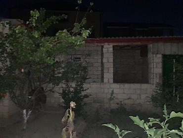 Həyət evləri və villaların satışı: 3 otaqlı, 110 kv. m, Kredit yoxdur — 4