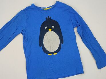 trampki na rzepy 36: Bluza, Young Style, 5-6 lat, 110-116 cm, stan - Bardzo dobry
