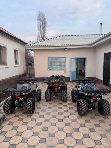 Квадроциклы: Квадроцикл Бензин, 250 куб. см, Взрослый — 4