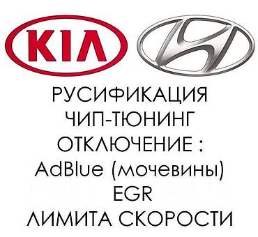 thinkdiag 2: Прошивка авто Переход на нормы токсичности Евро-2/Евро-0 (Отключение — 2