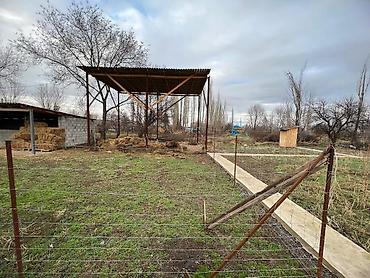 Продажа сельхоз предприятий: Продаётся сельхозобъект/участок под фермерское хозяйство — 4