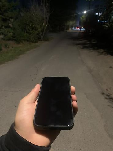 mini 4 pro: IPhone 13 Pro, 256 ГБ - Модель: iPhone 13 Pro (номер модели — 4