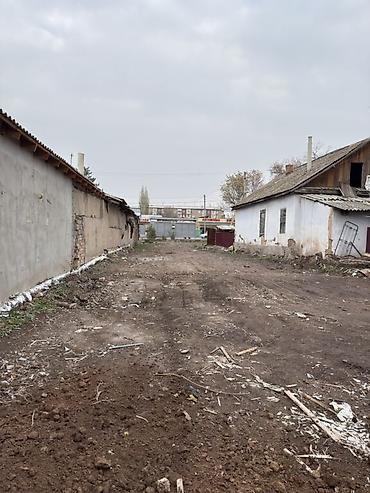 ысык куле: 5 соток, Бизнес үчүн, Кызыл китеп — 6