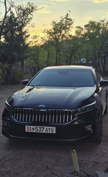 воздушный фильтр мерседес: Kia K7: 2019 г., 3 л, Автоматические, Газ, Седан