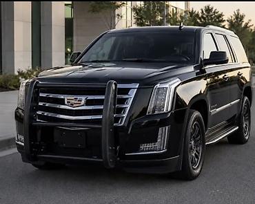 cadi: Кенгурятник Cadillac, Новый, Бесплатная доставка — 6