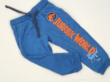 spodnie polarowe: Sweatpants, 2-3 years, 98, condition - Perfect