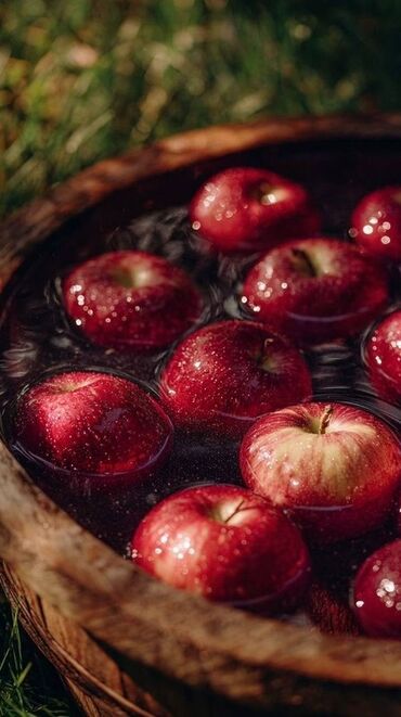 сливочное масло оптом бишкек: Яблоки