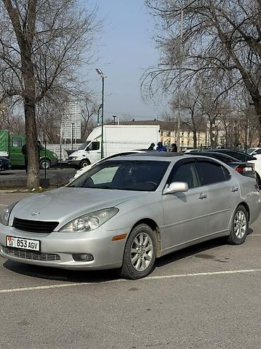 Lexus: Lexus ES: 2003 г., 3 л, Автомат, Бензин, Седан — 1