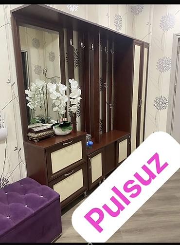 Dəhliz üçün çoxfunksiyalı giriş mebel dəsti - Material: tünd qoz