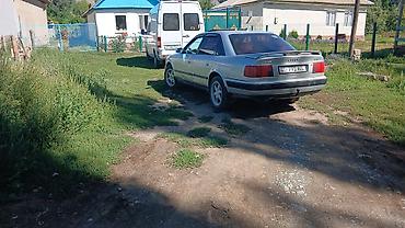 Audi 100: 1994 г., 2.6 л, Механика, Бензин, Седан