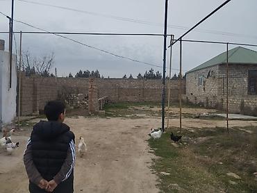 bartee: 2 sot, Tikinti, Barter mümkündür, Bələdiyyə — 2