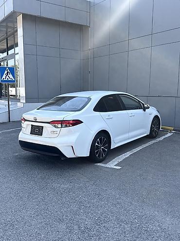 тайота каролла левин: Toyota Corolla: 2023 г., 1.8 л, Гибрид, Седан — 6