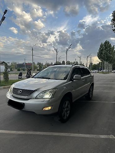 Lexus: Lexus RX: 2004 г., 3 л, Автомат, Бензин, Хэтчбэк — 11