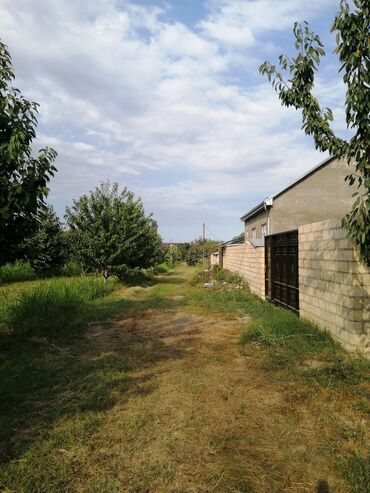əmircan torpaq: 17 sot, Kənd təsərrüfatı, Mülkiyyətçi, Kupça (Çıxarış)