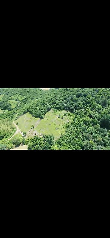 xirdalanda kiraye evleri: 124 sot, Kupça (Çıxarış) — 5