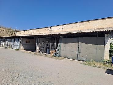 o store: Здание, 120 м² — 1
