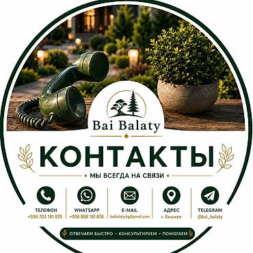 solutions advanced: Система автополива Bai Balaty Умный полив для сада, газона, огорода и — 5