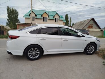 соната sonata: Hyundai Sonata: 2021 г., 2 л, Автомат, Газ, Седан