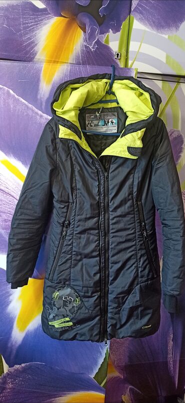 55 объявлений | lalafo.kg: Куртка женская, приталенная. Осень-зима. Качественная. Фирма ICE BEAR