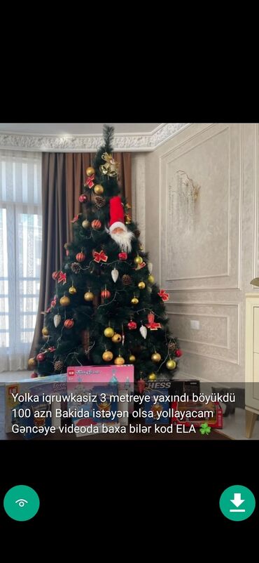 Yeni il ağacları: Yolkalar şaxda baba sekillerde qiymət məlumat qeyd olunub unvan Gence -da lalafo.az — 12 Yeni il ağacları: Yolkalar şaxda baba sekillerde qiymət məlumat qeyd olunub unvan Gence — 12