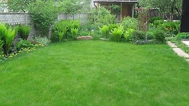 Дворники, садовники: 🌱Я садовник сеем газон с нуля посев газон садовник выезд — 13