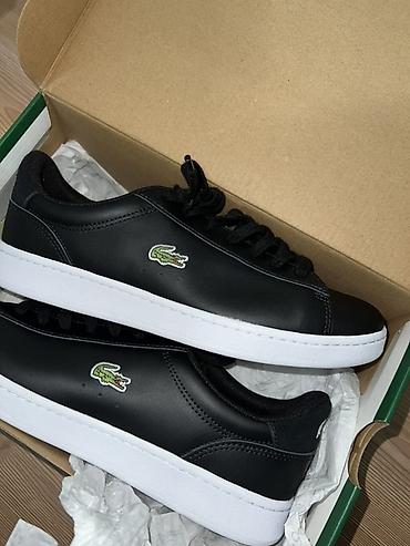 повязки для головы: Мужские кроссовки, 43, Lacoste, Новый, цвет - Черный — 1
