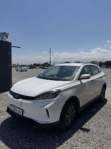 byd e2 батарея: Weltmeister EX5, 2020 г., 110 км, Передний — 2