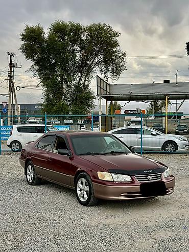 2т масло: Toyota Camry: 2000 г., 2.2 л, Автомат, Бензин, Седан — 2