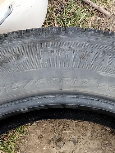 мати 2: Зимняя шина goform (FOMA на боковине) 215/60 R17 96T - Тип: зимняя — 1