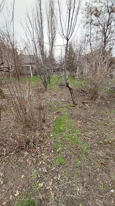 Продажа коттеджей и домов: Срочно продается дом, Абдраева-Месароша, участок 4,5 соток, по факту at lalafo.kg — 2 Продажа коттеджей и домов: Срочно продается дом, Абдраева-Месароша, участок 4,5 соток, по факту — 2