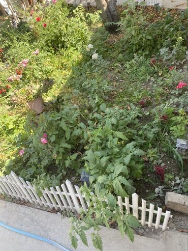 Продажа домов: Дом, 210 м², 5 комнат, Собственник, Дизайнерский ремонт — 32