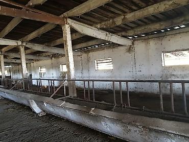 Аренда участков: 900 соток Для бизнеса, Электричество, Водопровод — 8