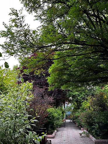 Иссык-Куль 2026: Гостиница 🏨 день ночь сутки Иссык куль Бостери улица Кожомбердиева 57 — 14