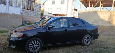 эшик машина: Toyota Corolla: 2003 г., Автомат, Бензин, Седан — 3