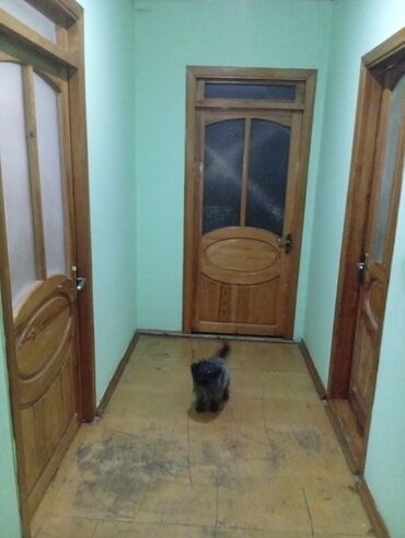 Uzunmüddətli kirayə evlər: 90 kv. m, 3 otaqlı, Qaz — 26