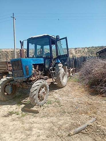 Тракторы МТЗ (Беларус): Модель: 82, Б/у, 1991 г. — 2