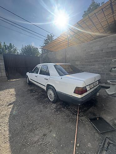 124 молдинг: Mercedes-Benz W124: 1988 г., 1.6 л, Механика, Бензин, Седан — 1